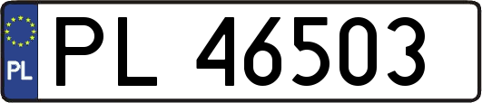 PL46503