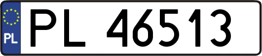 PL46513