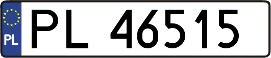 PL46515