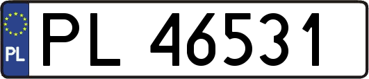 PL46531