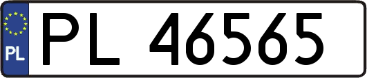 PL46565