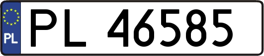 PL46585