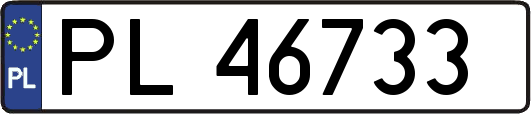 PL46733