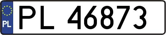 PL46873