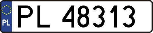PL48313