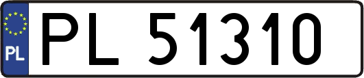 PL51310