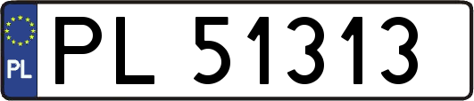 PL51313