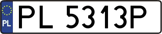 PL5313P
