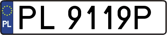 PL9119P