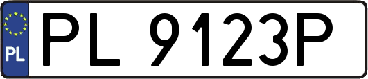 PL9123P