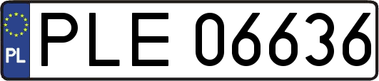 PLE06636