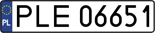 PLE06651