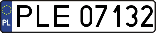 PLE07132