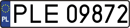 PLE09872