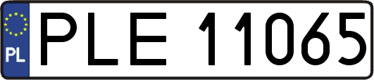 PLE11065