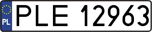 PLE12963