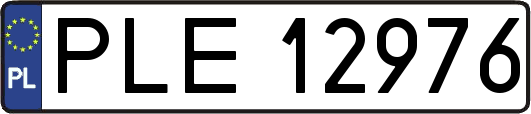 PLE12976