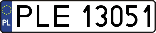 PLE13051