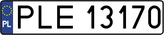 PLE13170