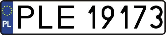 PLE19173