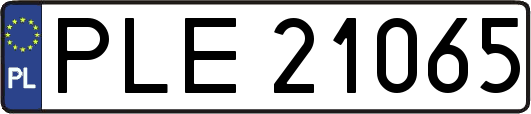 PLE21065