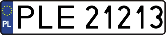 PLE21213
