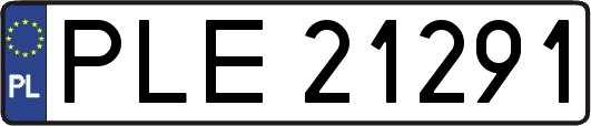 PLE21291