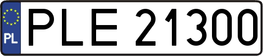 PLE21300