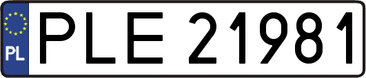 PLE21981