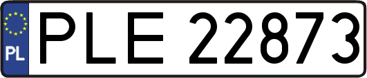 PLE22873