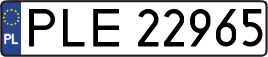 PLE22965