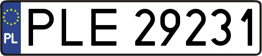 PLE29231