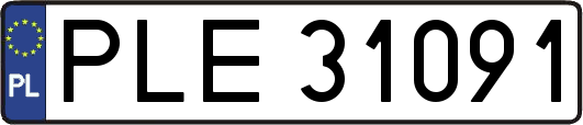PLE31091