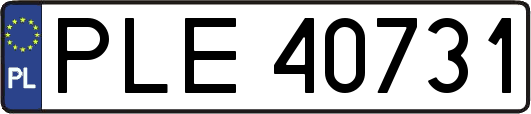 PLE40731