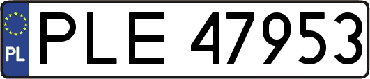 PLE47953