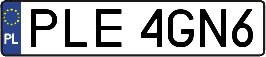 PLE4GN6