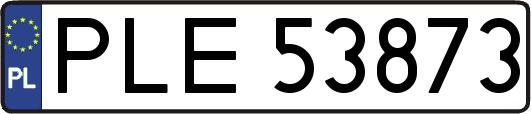 PLE53873