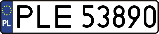 PLE53890
