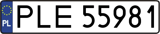 PLE55981