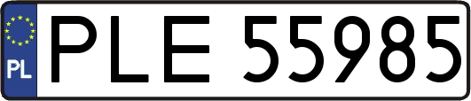 PLE55985