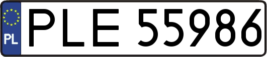 PLE55986