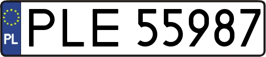 PLE55987