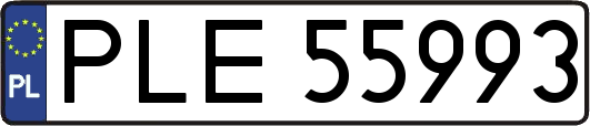 PLE55993