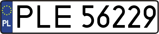 PLE56229