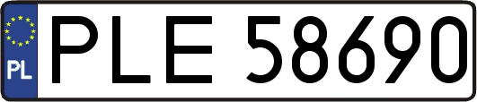 PLE58690