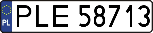 PLE58713