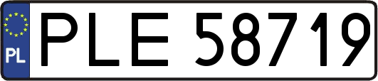 PLE58719