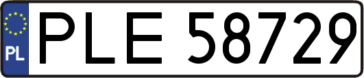 PLE58729