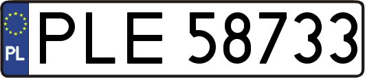 PLE58733
