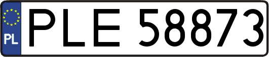 PLE58873